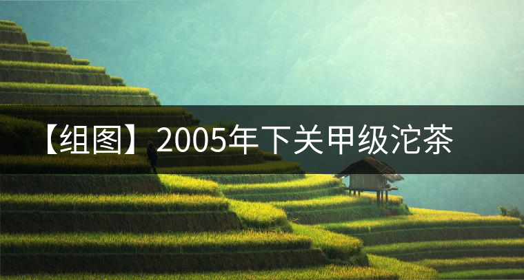 【組圖】2005年下關(guān)甲級沱茶開湯 【組圖】2005年下關(guān)甲級沱茶開湯
