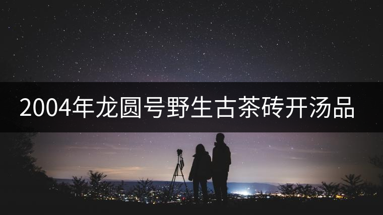 2004年龍圓號(hào)野生古茶磚開(kāi)湯品鑒 2004年龍圓號(hào)野生古茶磚開(kāi)湯品鑒