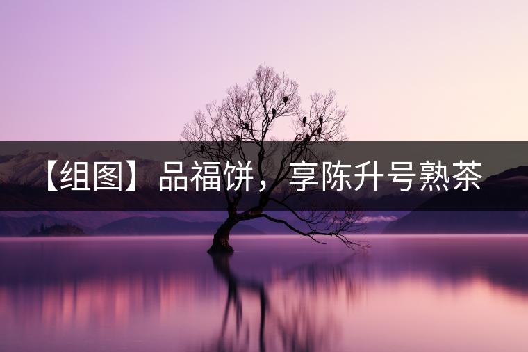 【組圖】品福餅，享陳升號熟茶滋味