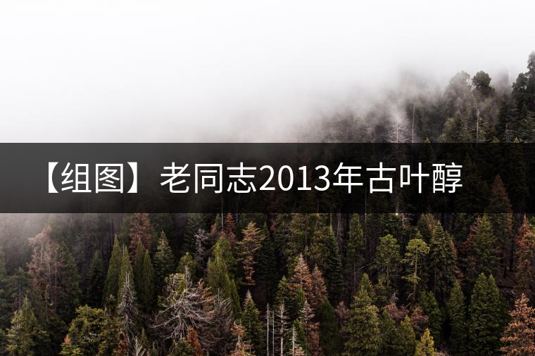 【組圖】老同志2013年古葉醇熟餅開(kāi)湯 【組圖】老同志2013年古葉醇熟餅開(kāi)湯