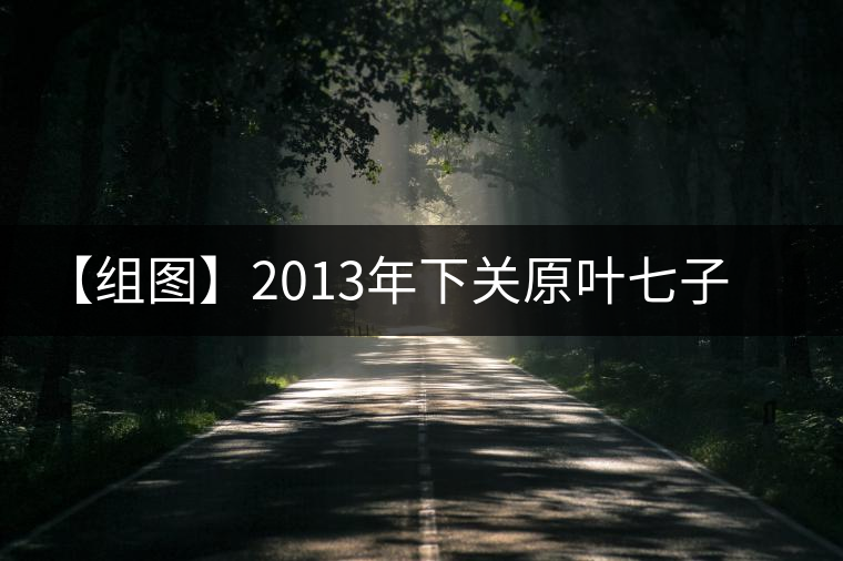 【組圖】2013年下關(guān)原葉七子餅茶開湯 【組圖】2013年下關(guān)原葉七子餅茶開湯