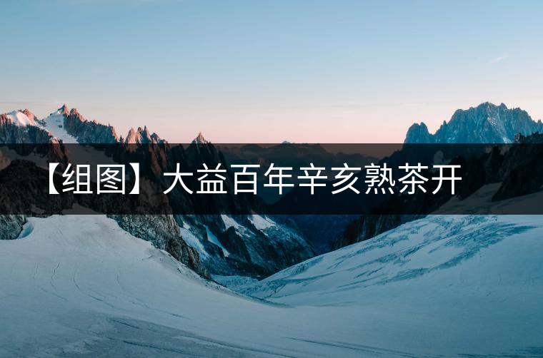 【組圖】大益百年辛亥熟茶開湯