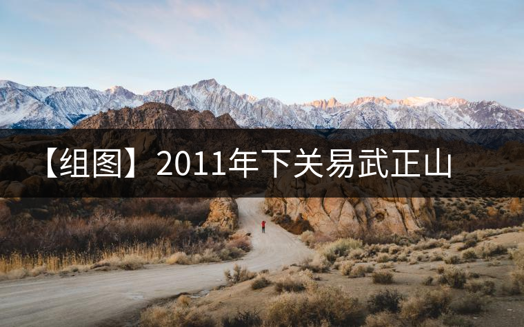 【組圖】2011年下關(guān)易武正山老樹沱茶開湯 【組圖】2011年下關(guān)易武正山老樹沱茶開湯