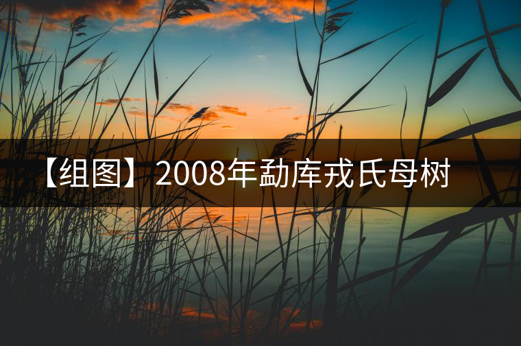【組圖】2008年勐庫(kù)戎氏母樹茶開湯 【組圖】2008年勐庫(kù)戎氏母樹茶開湯