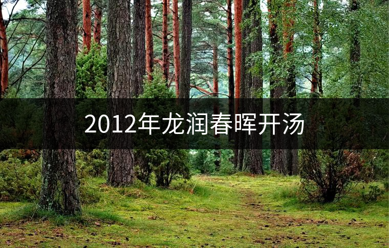 2012年龍潤(rùn)春暉開湯 2012年龍潤(rùn)春暉開湯
