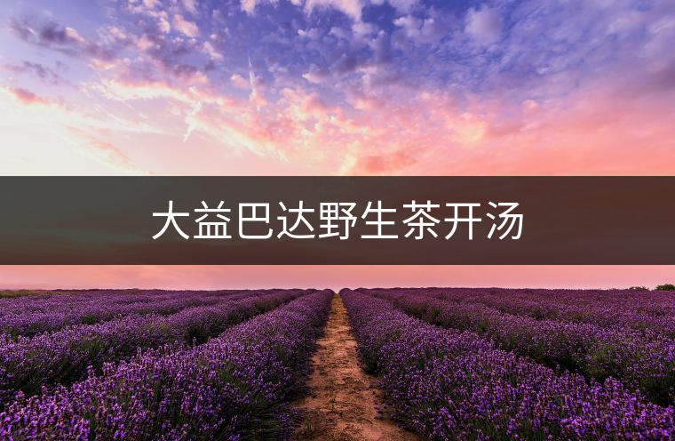 大益巴達(dá)野生茶開(kāi)湯 大益巴達(dá)野生茶開(kāi)湯