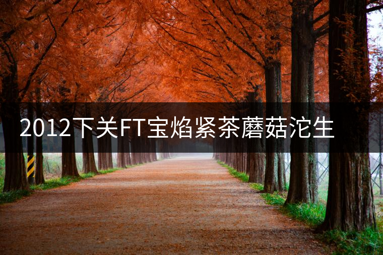 2012下關(guān)FT寶焰緊茶蘑菇沱生茶開湯品鑒 2012下關(guān)FT寶焰緊茶蘑菇沱生茶開湯品鑒