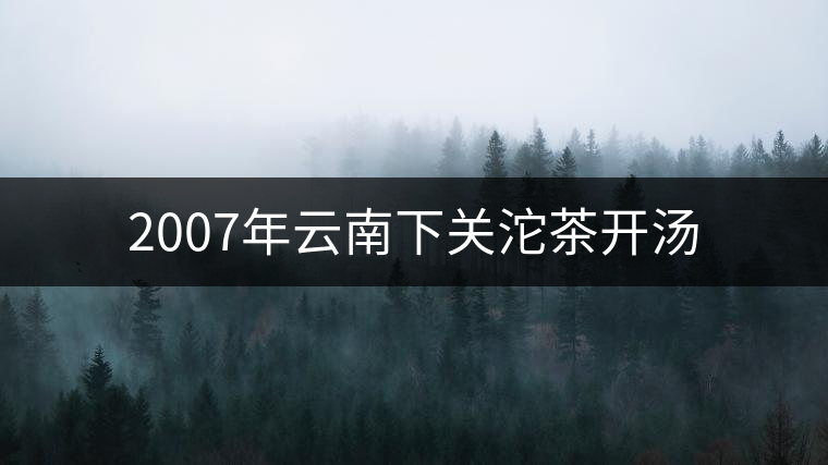 2007年云南下關(guān)沱茶開湯 2007年云南下關(guān)沱茶開湯