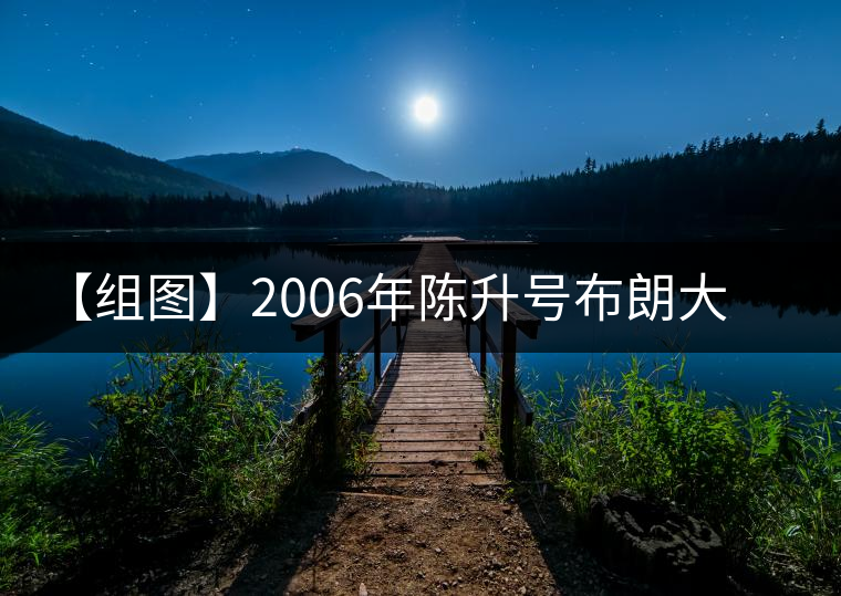 【組圖】2006年陳升號(hào)布朗大樹(shù)開(kāi)湯
