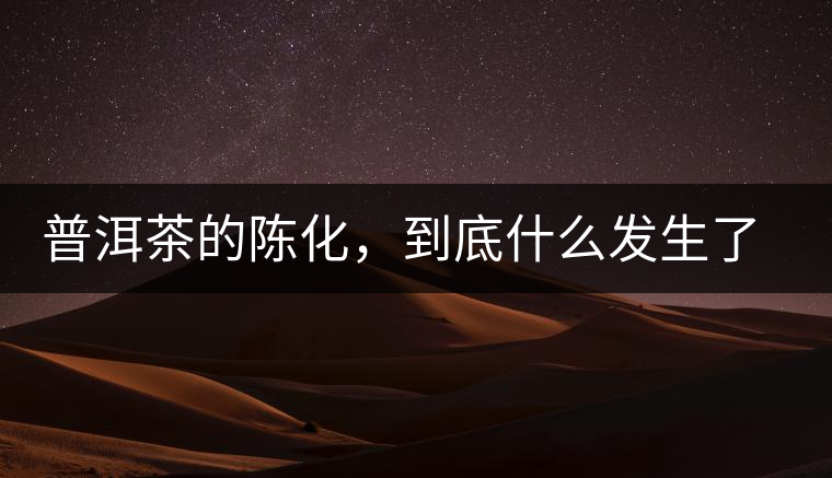 普洱茶的陳化，到底什么發(fā)生了哪些變化？