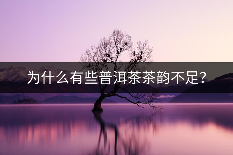 為什么有些普洱茶茶韻不足？