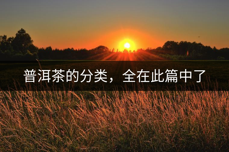 普洱茶的分類，全在此篇中了