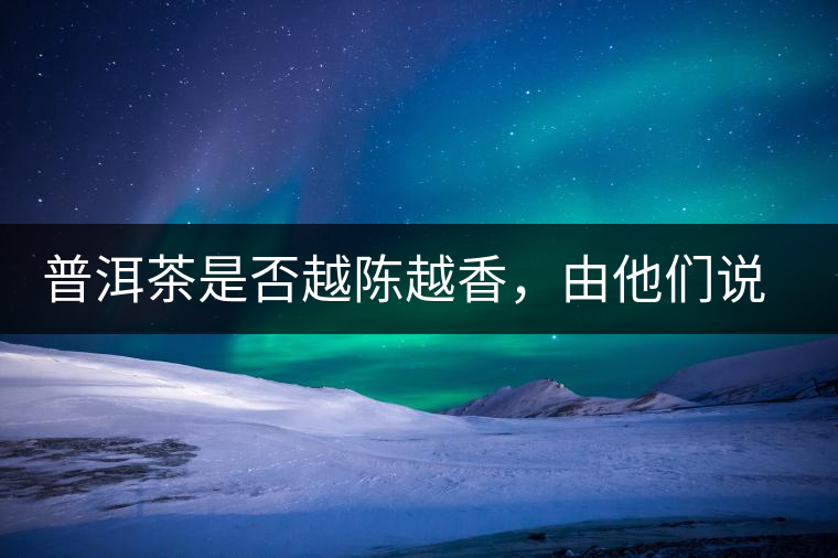 普洱茶是否越陳越香，由他們說了算