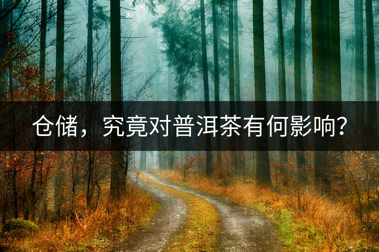 倉儲(chǔ)，究竟對(duì)普洱茶有何影響？