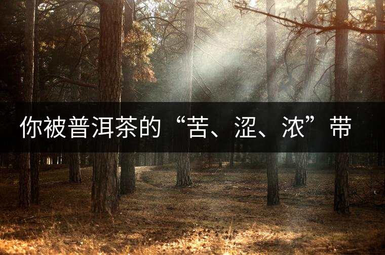 你被普洱茶的“苦、澀、濃”帶入“歧途”了嗎？