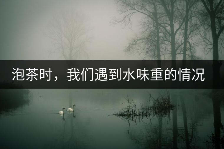 泡茶時，我們遇到水味重的情況是怎么回事呢?