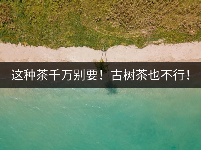 這種茶千萬別要！古樹茶也不行！