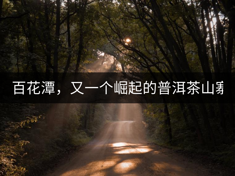 百花潭，又一個崛起的普洱茶山寨！