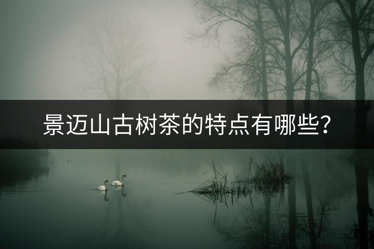 景邁山古樹茶的特點有哪些？