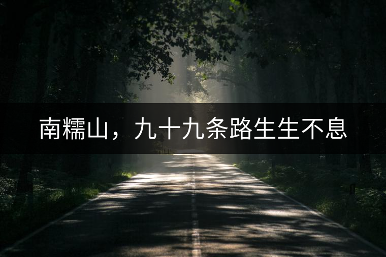 南糯山，九十九條路生生不息