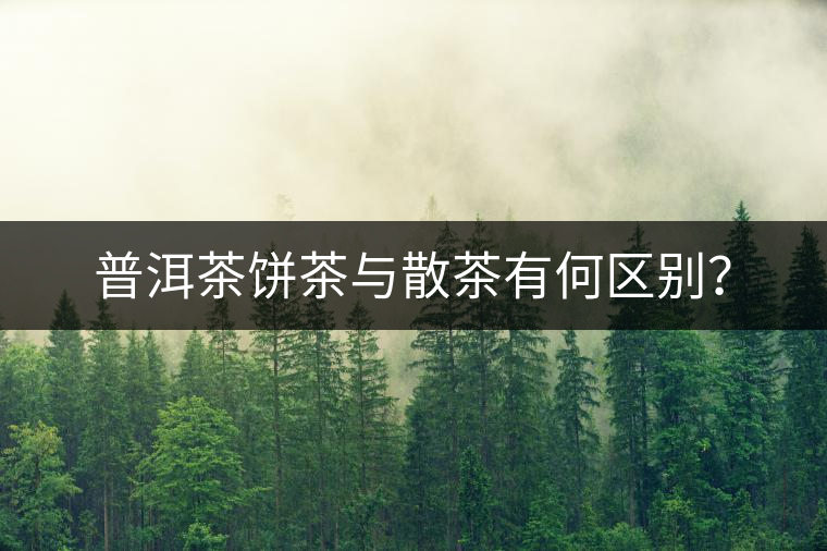 普洱茶餅茶與散茶有何區(qū)別？