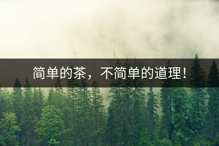 簡單的茶，不簡單的道理！