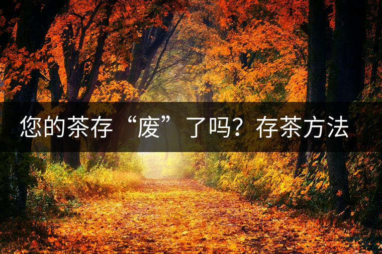 您的茶存“廢”了嗎？存茶方法與技巧，把香留??！
