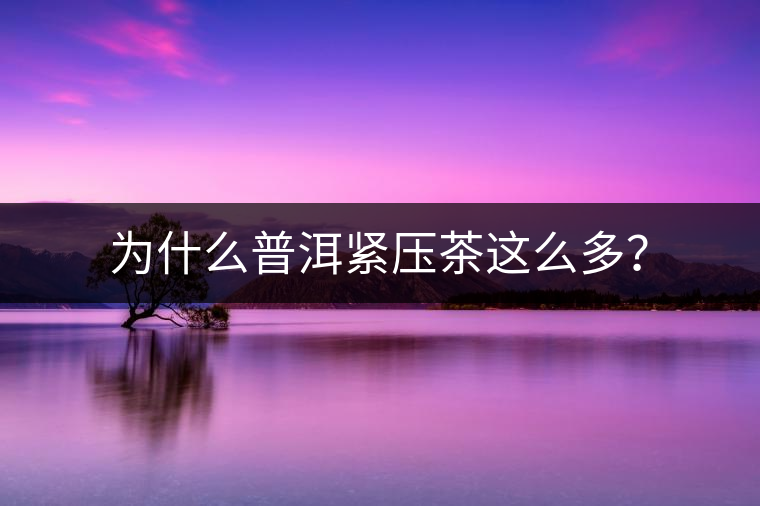 為什么普洱緊壓茶這么多？