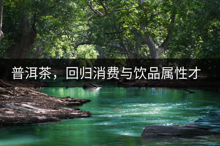 普洱茶，回歸消費(fèi)與飲品屬性才是正途