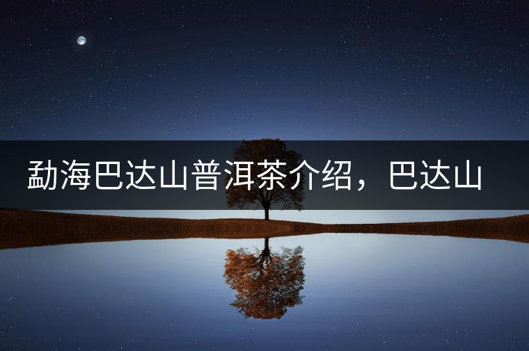 勐海巴達(dá)山普洱茶介紹，巴達(dá)山古樹(shù)茶口感特點(diǎn)