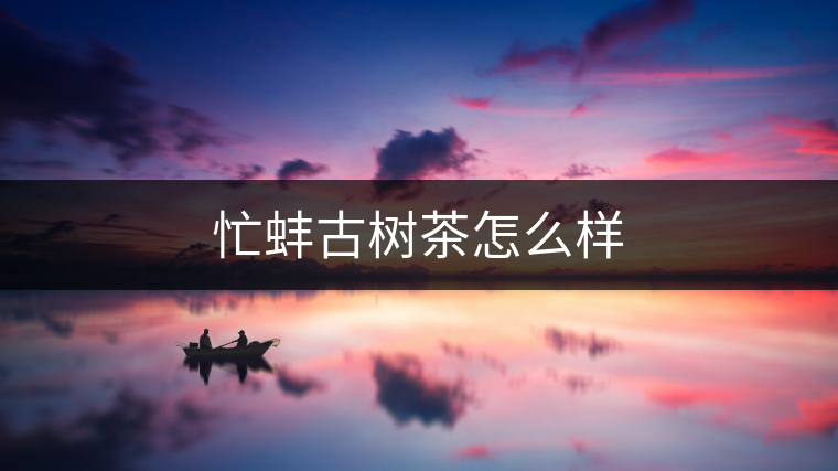 忙蚌古樹茶怎么樣 忙蚌古樹茶怎么樣