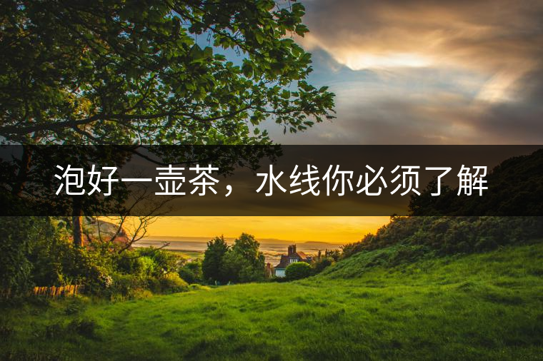 泡好一壺茶，水線你必須了解