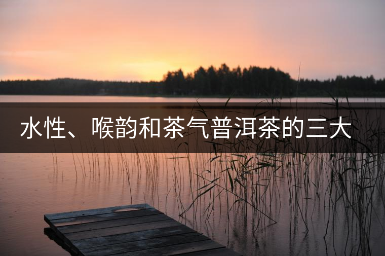 水性、喉韻和茶氣普洱茶的三大難點(diǎn) 水性、喉韻和茶氣普洱茶的三大難點(diǎn)