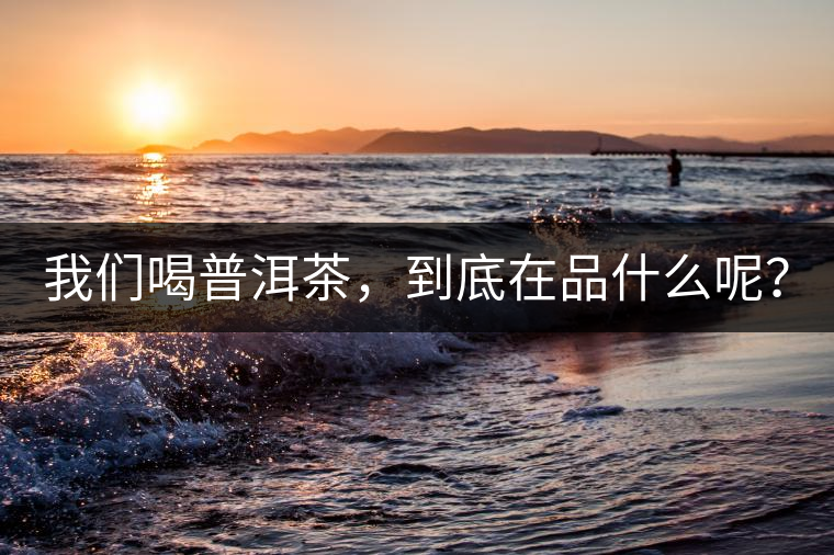 我們喝普洱茶，到底在品什么呢？