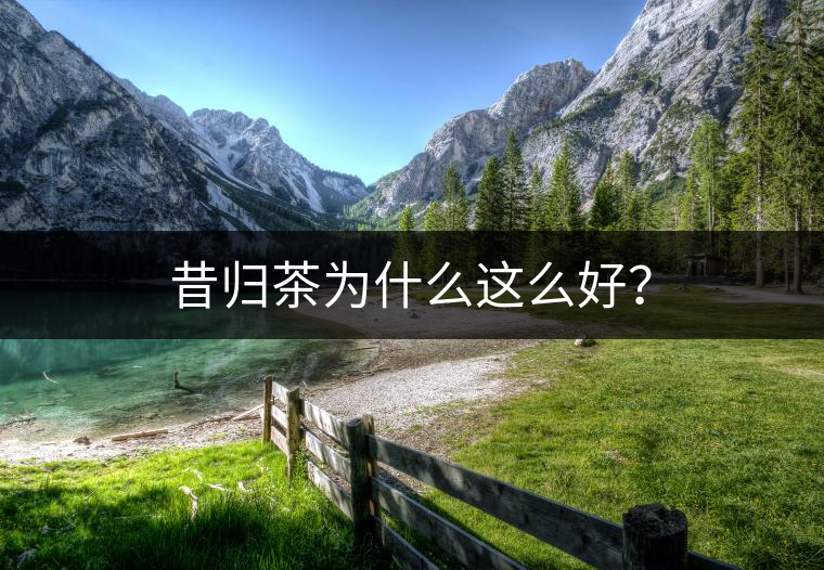 昔歸茶為什么這么好？