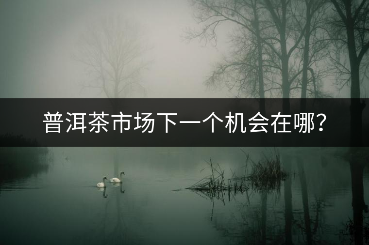 普洱茶市場下一個機會在哪？