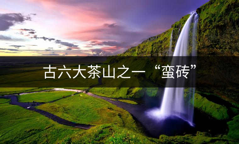古六大茶山之一“蠻磚” 古六大茶山之一“蠻磚”