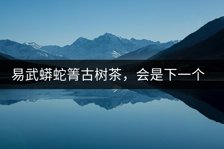 易武蟒蛇箐古樹茶，會是下一個銅箐河嗎？