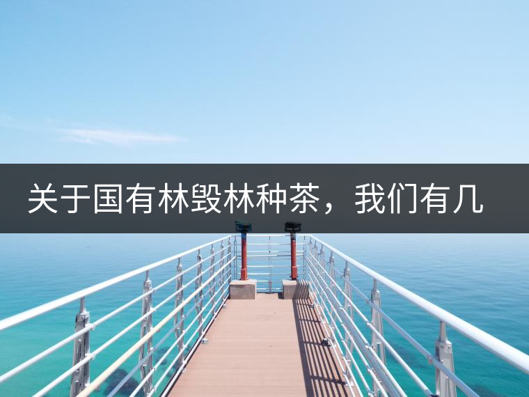 關于國有林毀林種茶,我們有幾點不得不說 關于國有林毀林種茶,我們有幾點不得不說