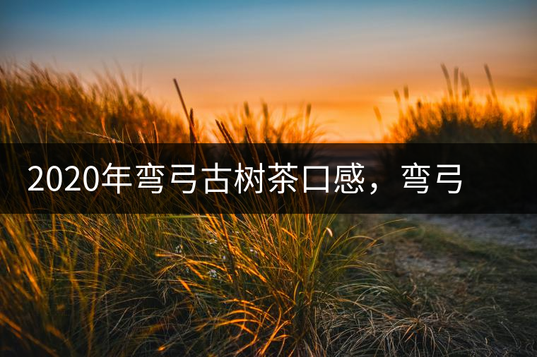 2020年彎弓古樹茶口感，彎弓普洱茶價(jià)格特點(diǎn)