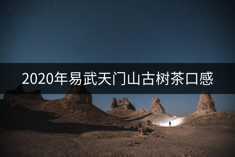 2020年易武天門山古樹茶口感 2020年易武天門山古樹茶口感