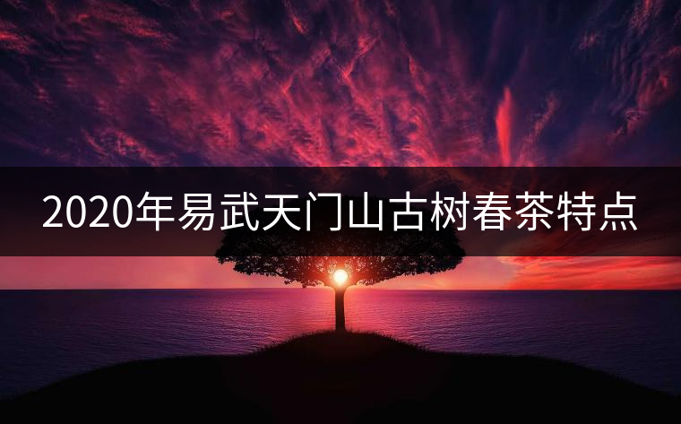 2020年易武天門山古樹春茶特點(diǎn) 2020年易武天門山古樹春茶特點(diǎn)