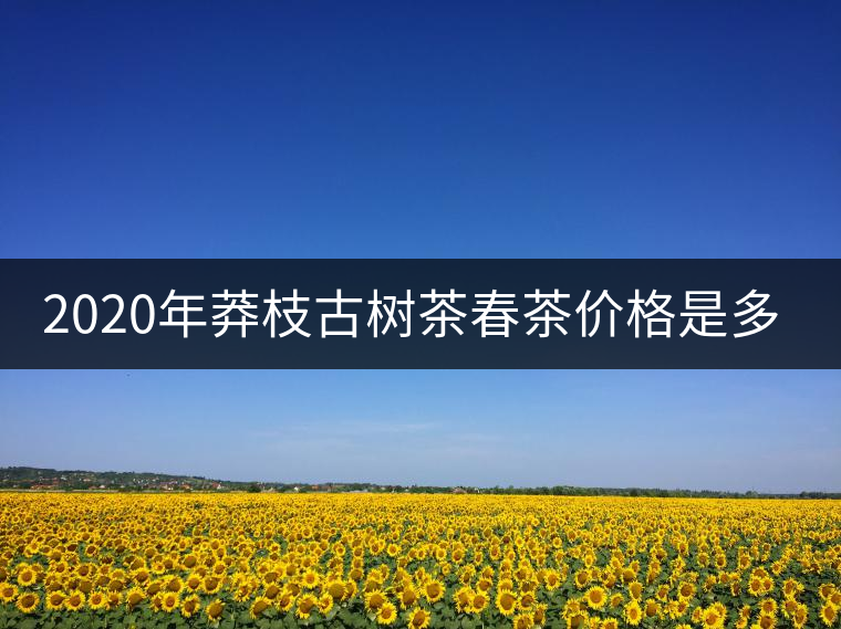 2020年莽枝古樹茶春茶價格是多少錢？