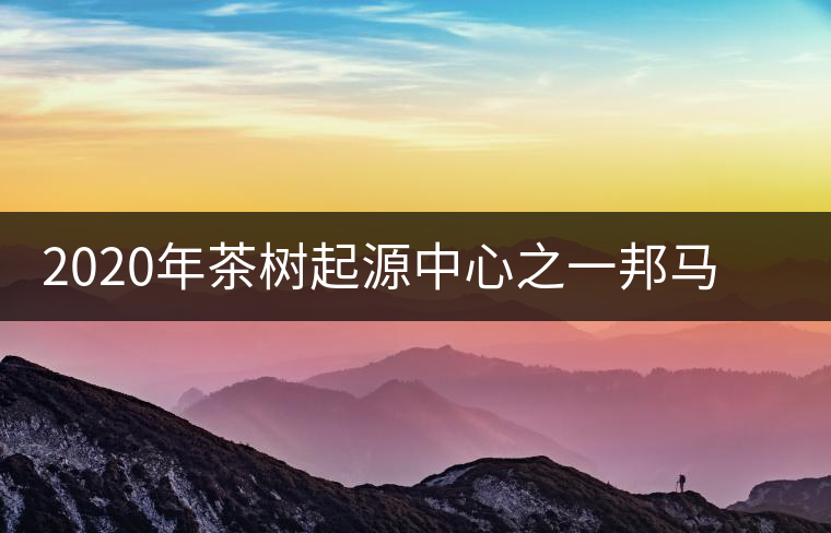 2020年茶樹起源中心之一邦馬大雪山上有哪些神秘的村寨？