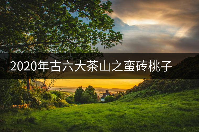 2020年古六大茶山之蠻磚桃子寨古樹(shù)茶，瓦龍古樹(shù)茶口感與特點(diǎn)