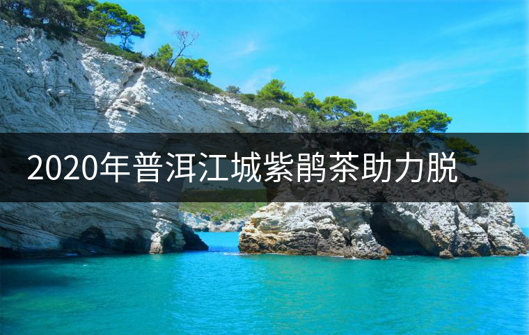 2020年普洱江城紫鵑茶助力脫貧攻堅消費扶貧 2020年普洱江城紫鵑茶助力脫貧攻堅消費扶貧