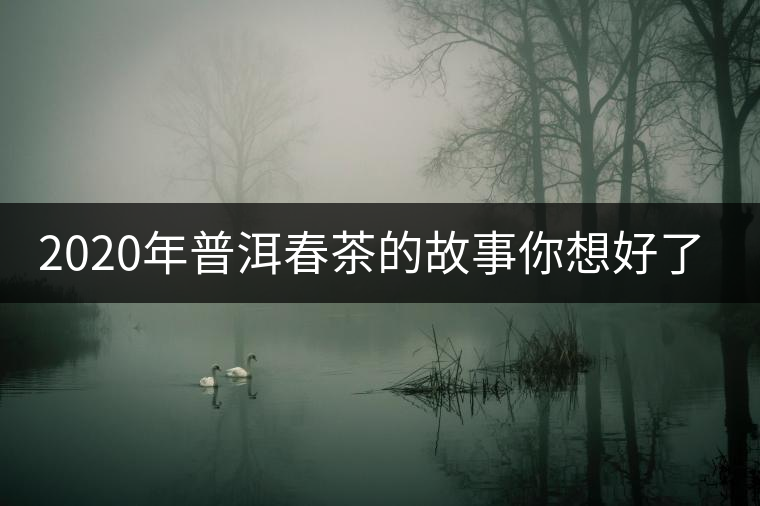 2020年普洱春茶的故事你想好了嗎？