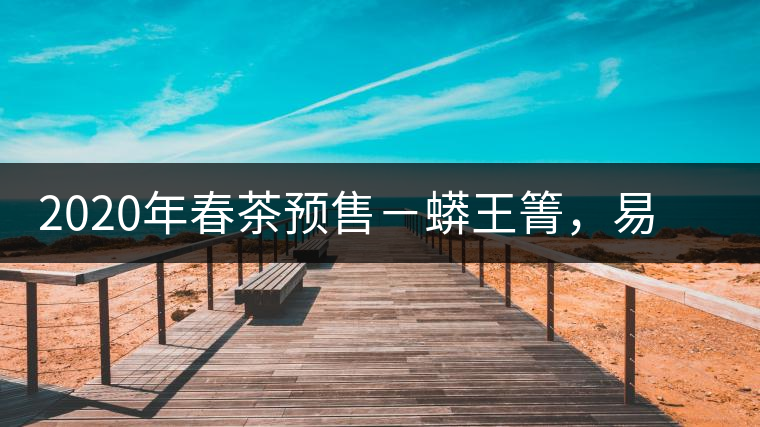 2020年春茶預(yù)售－蟒王箐，易武一個(gè)蟒蛇出沒(méi)的地方