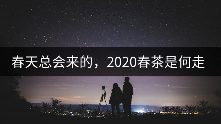 春天總會(huì)來的，2020春茶是何走勢？