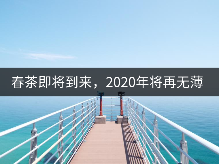 春茶即將到來(lái)，2020年將再無(wú)薄荷塘？